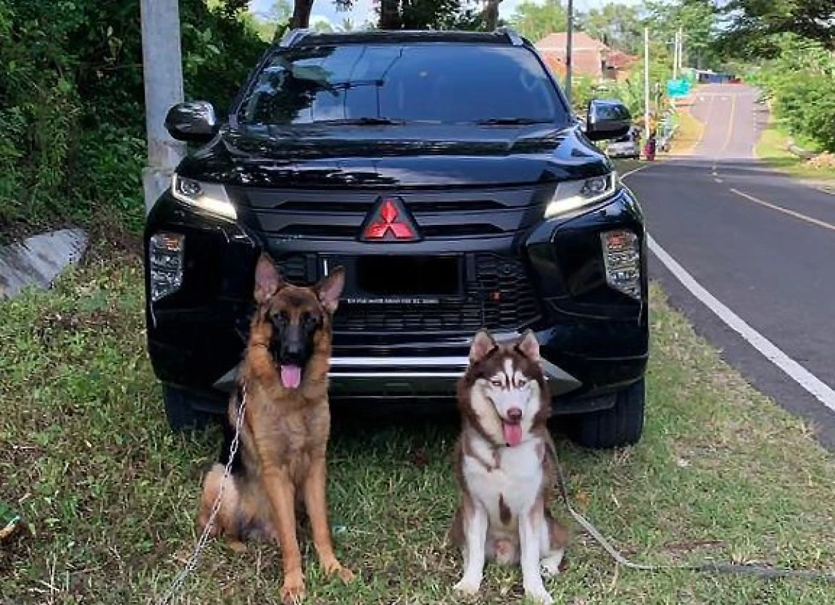 TETAP SETIA DENGAN MITSUBISHI PAJERO SPORT