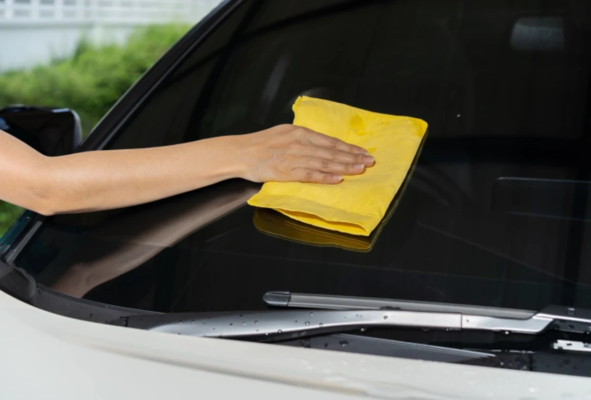 Tips Mencegah Jamur Hinggap Pada Kaca Mobil