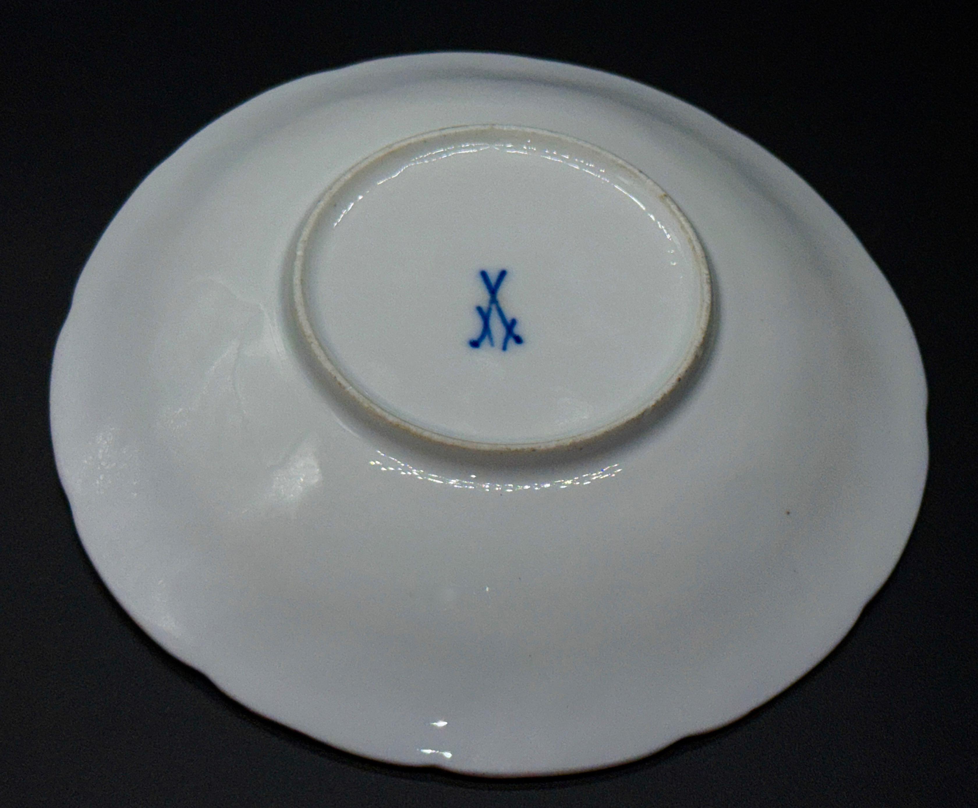 Talerzyk wielolistny, Miśnia