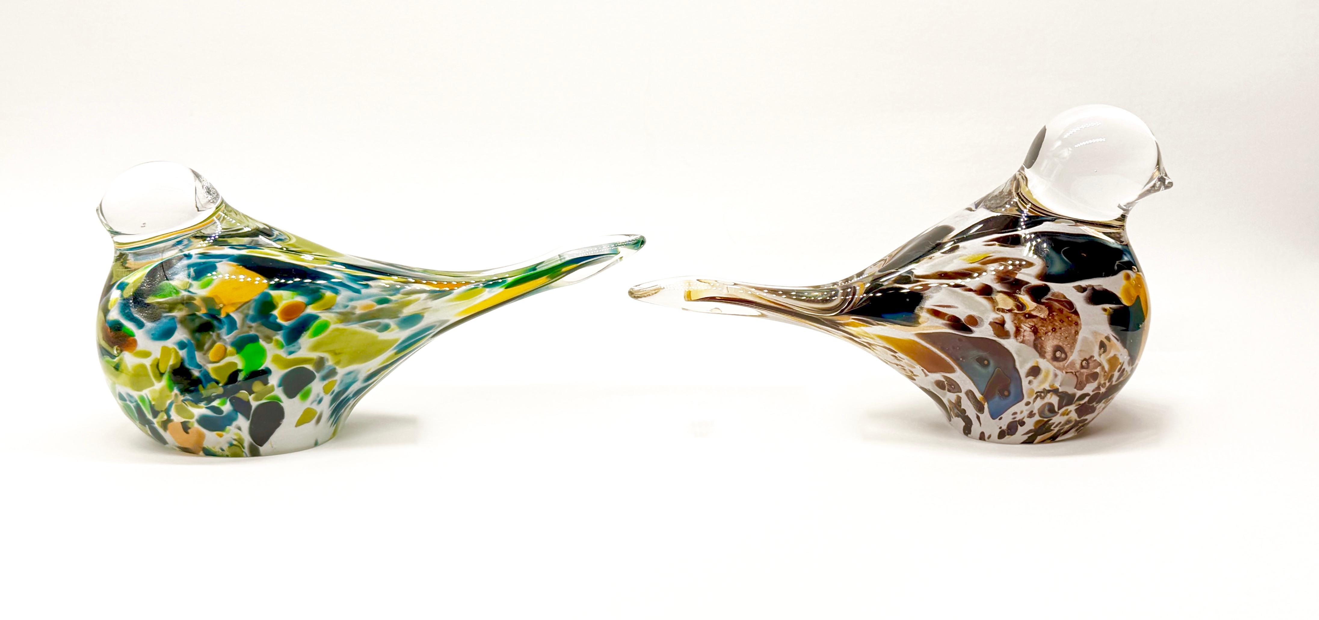 Para egzotycznych ptaków