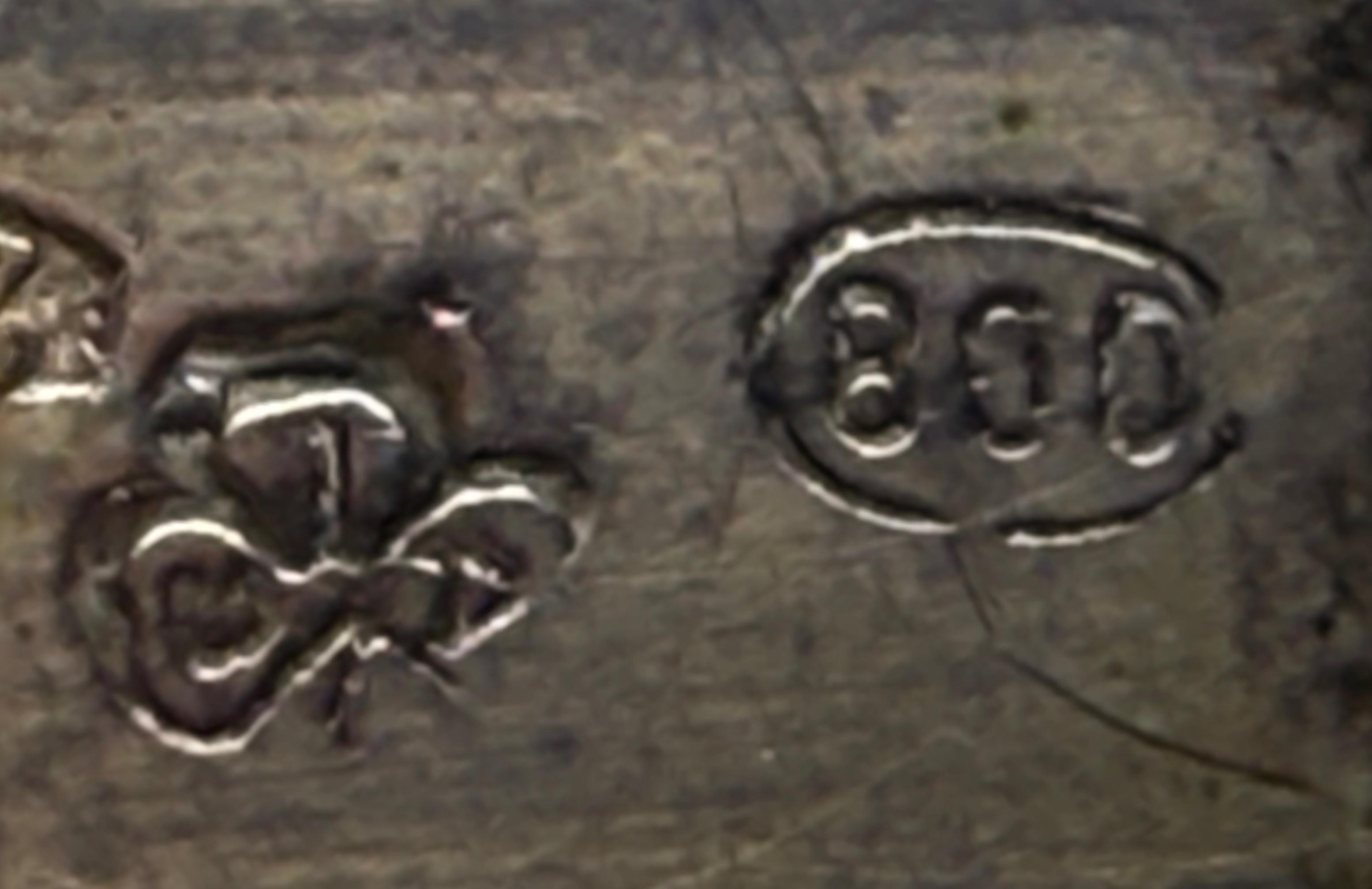 Srebrna patera wielolistna , masa 368 g