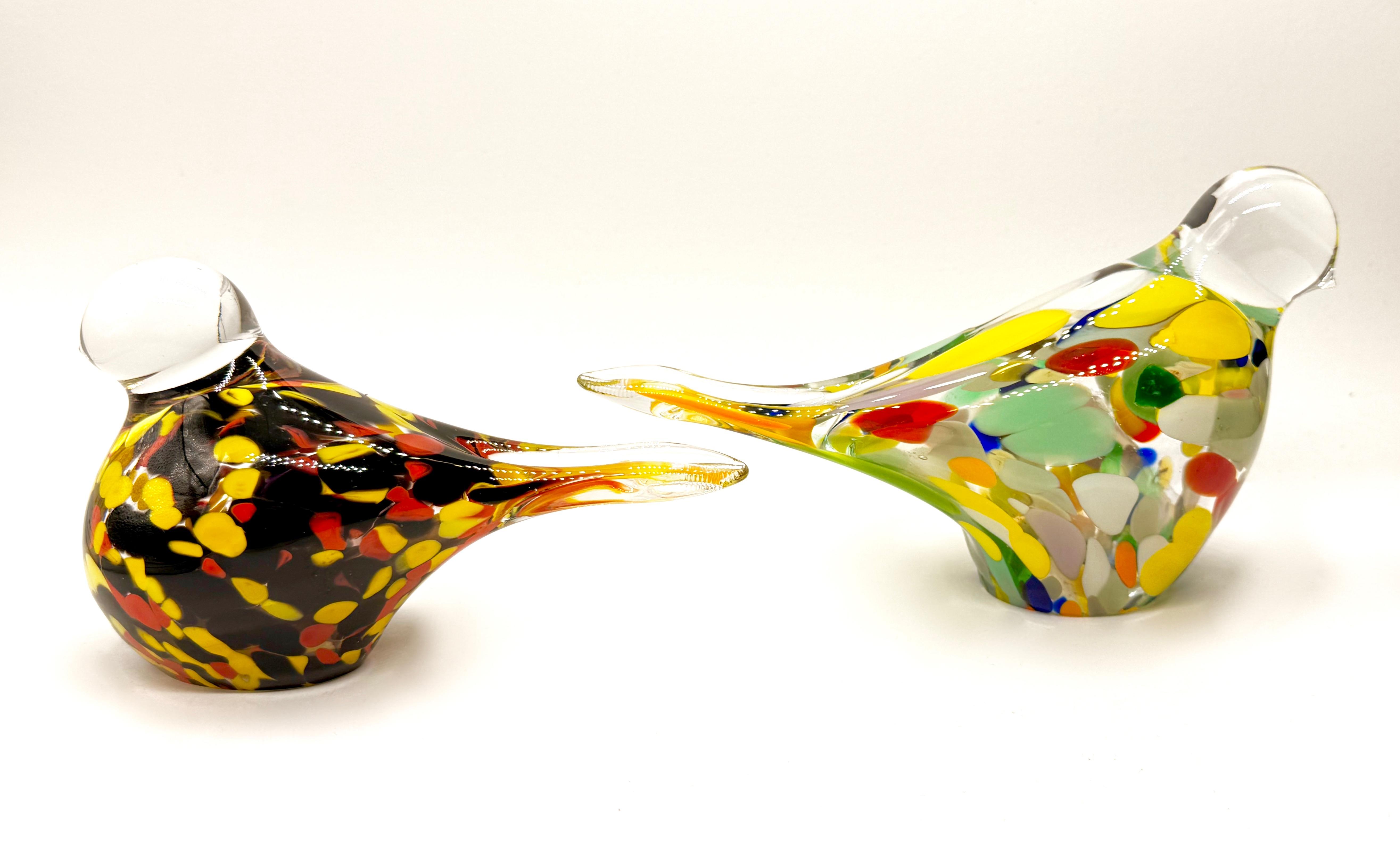 Para egzotycznych ptaków