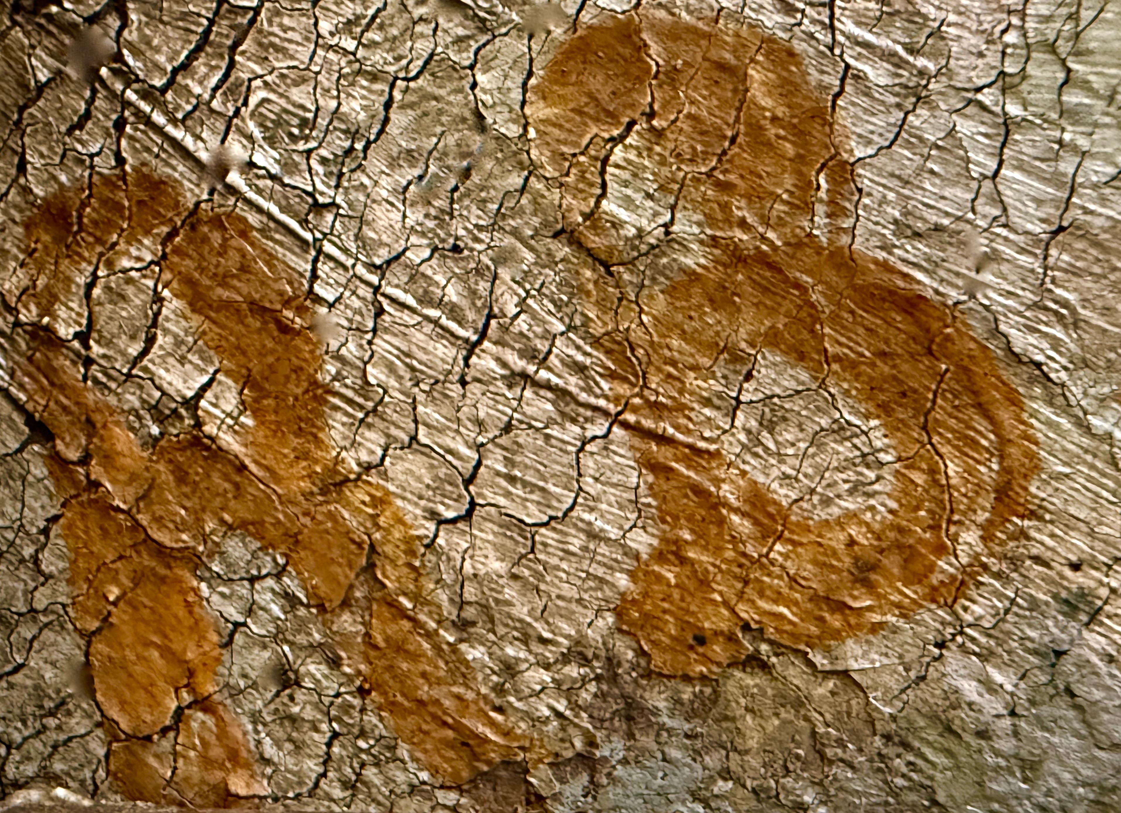 Nieustalony monogramista, ''Wiejska zagroda z chłopem i parą wołów''