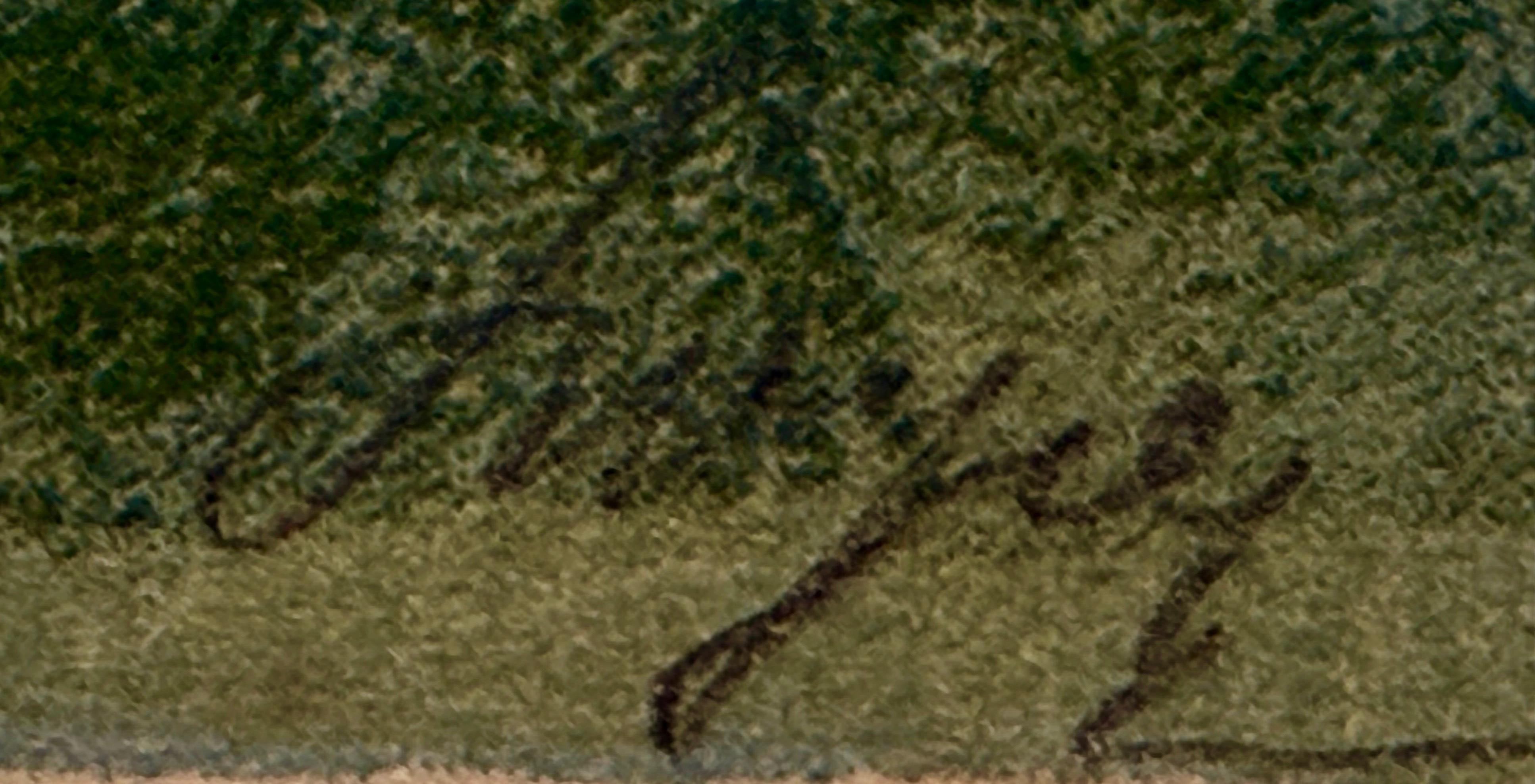 Leon Wyczółkowski (1852-1936), '' Kościół Mariacki w Krakowie-widok od strony absydy''