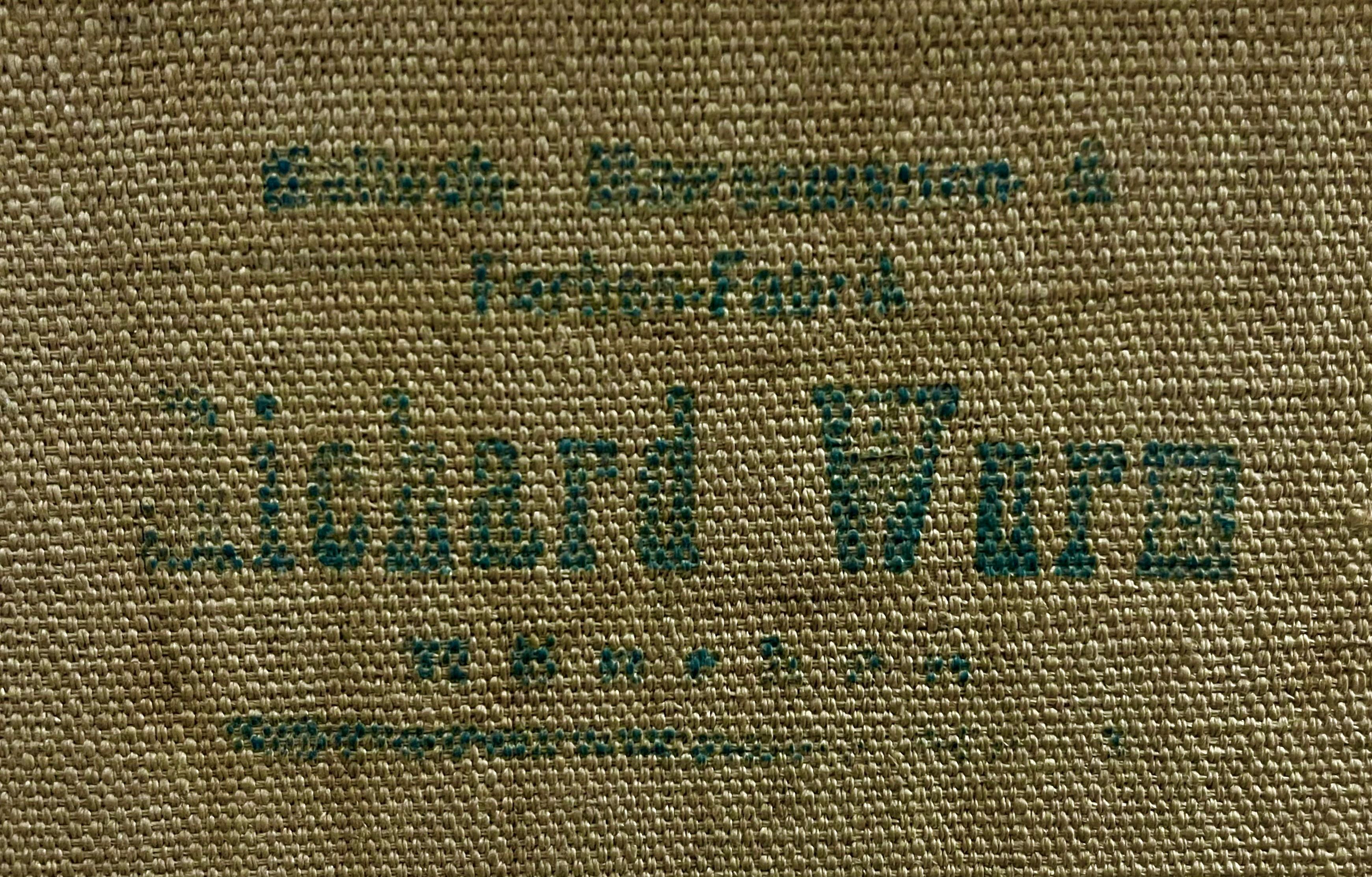 Niepotwierdzony malarz, ''Doktor''