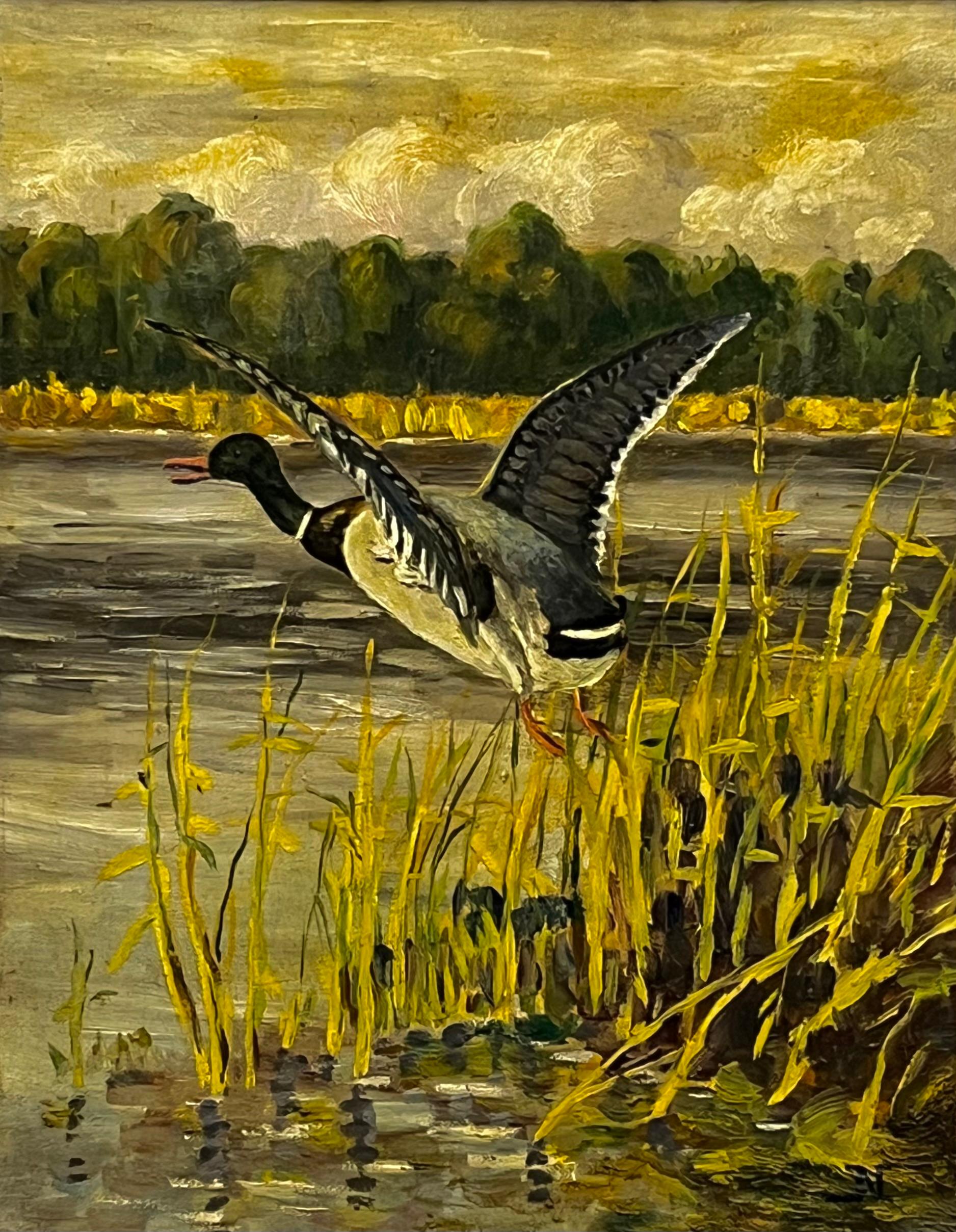 Nieustalony malarz,''Odlatująca kaczka''