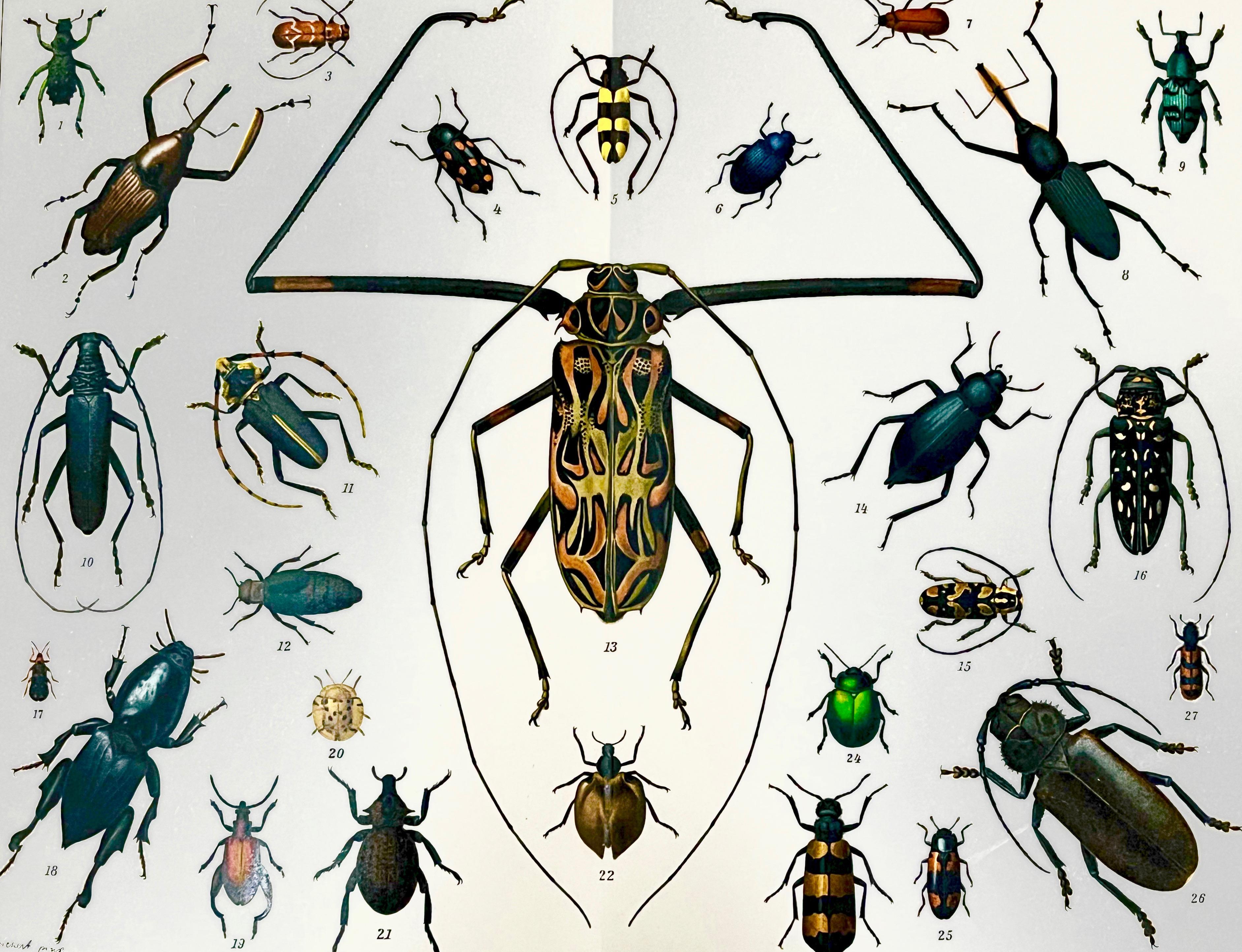 Zestaw 7 tomów ''BROCKHAUS''