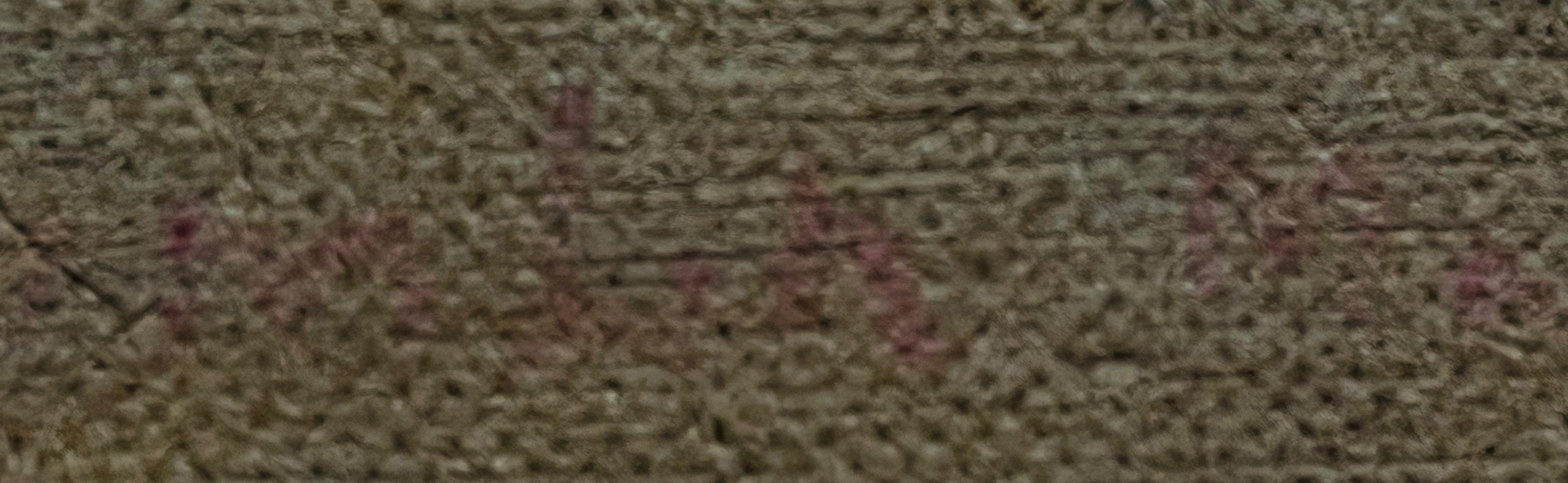 Nieustalony malarz "Koń pociągowy''