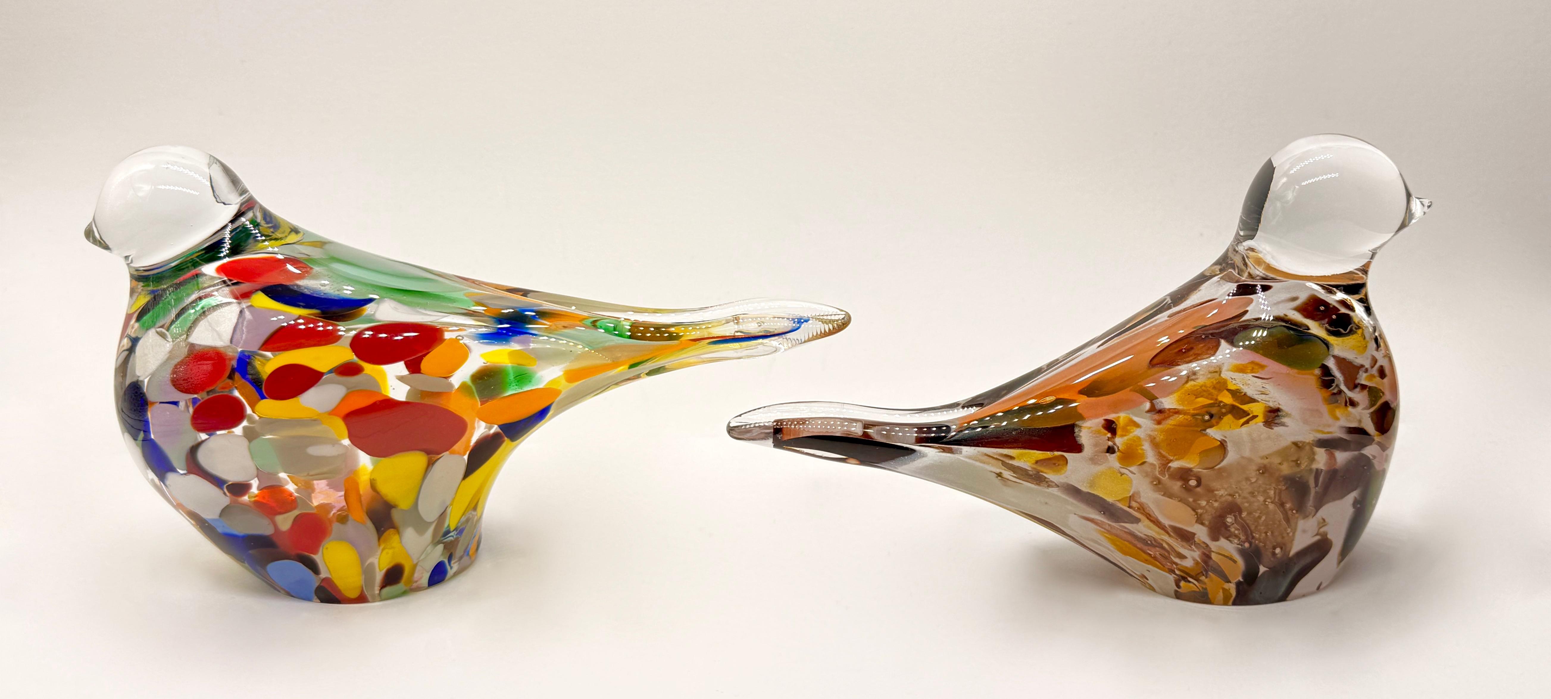 Para egzotycznych ptaków