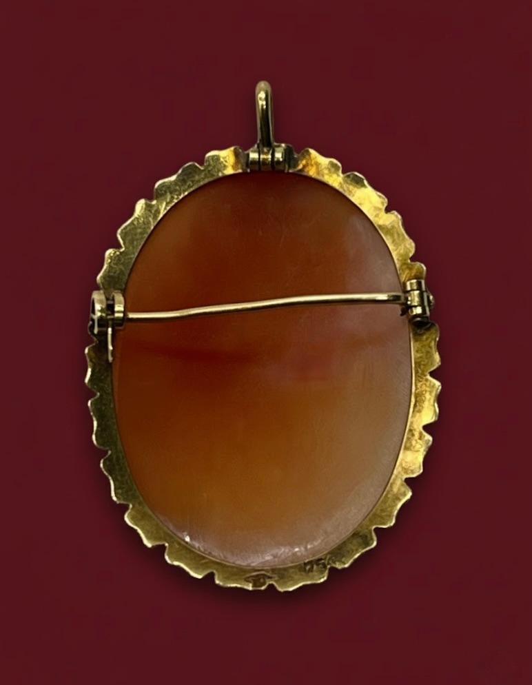 Broszko-wisior z kameą