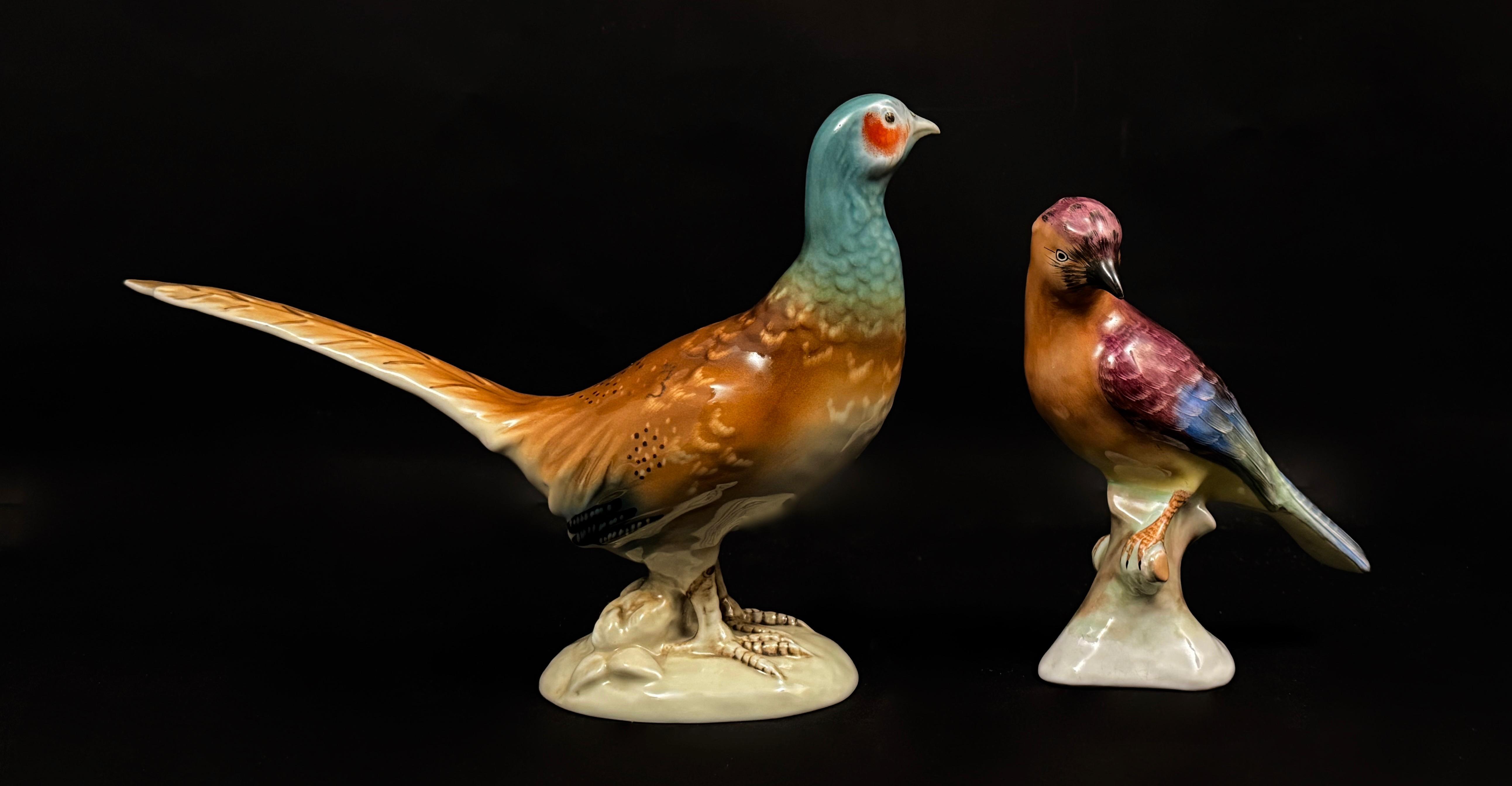 Zestaw egzotycznych ptaków -2 sztuki