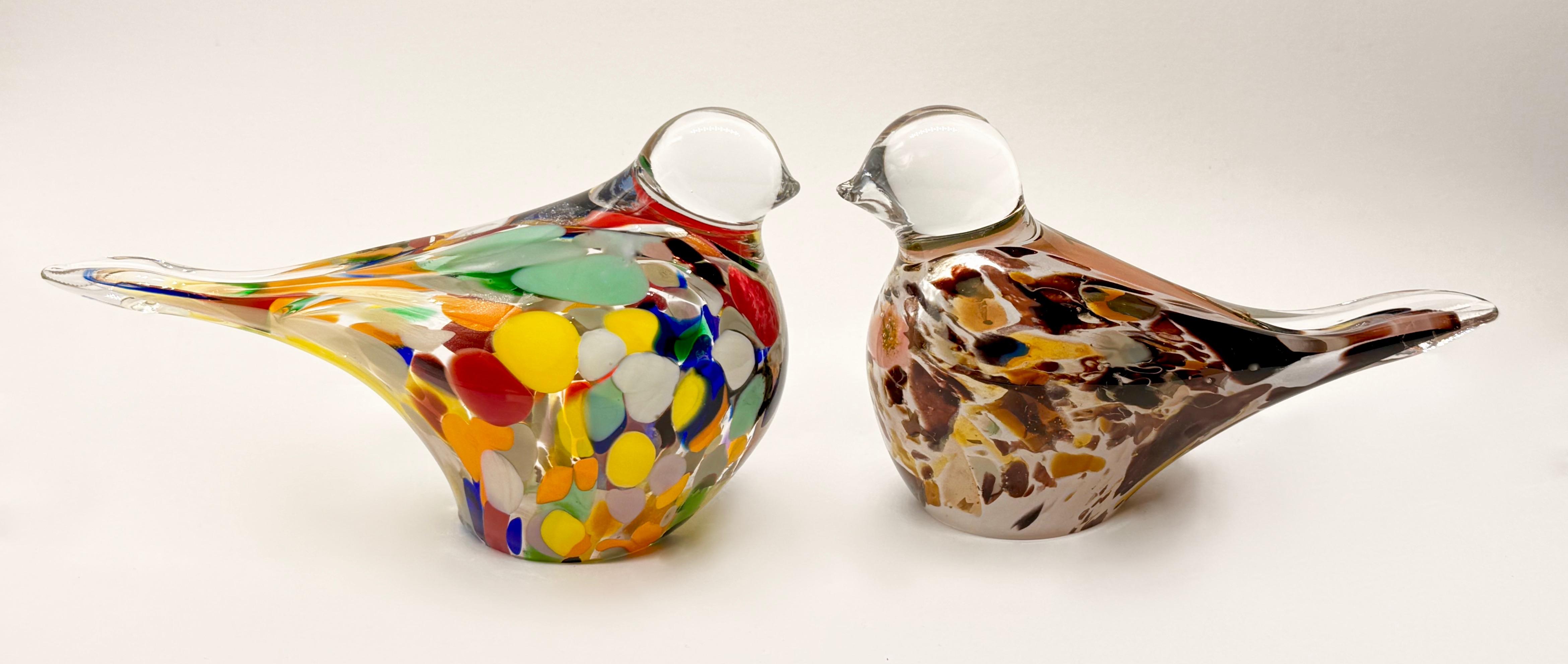 Para egzotycznych ptaków