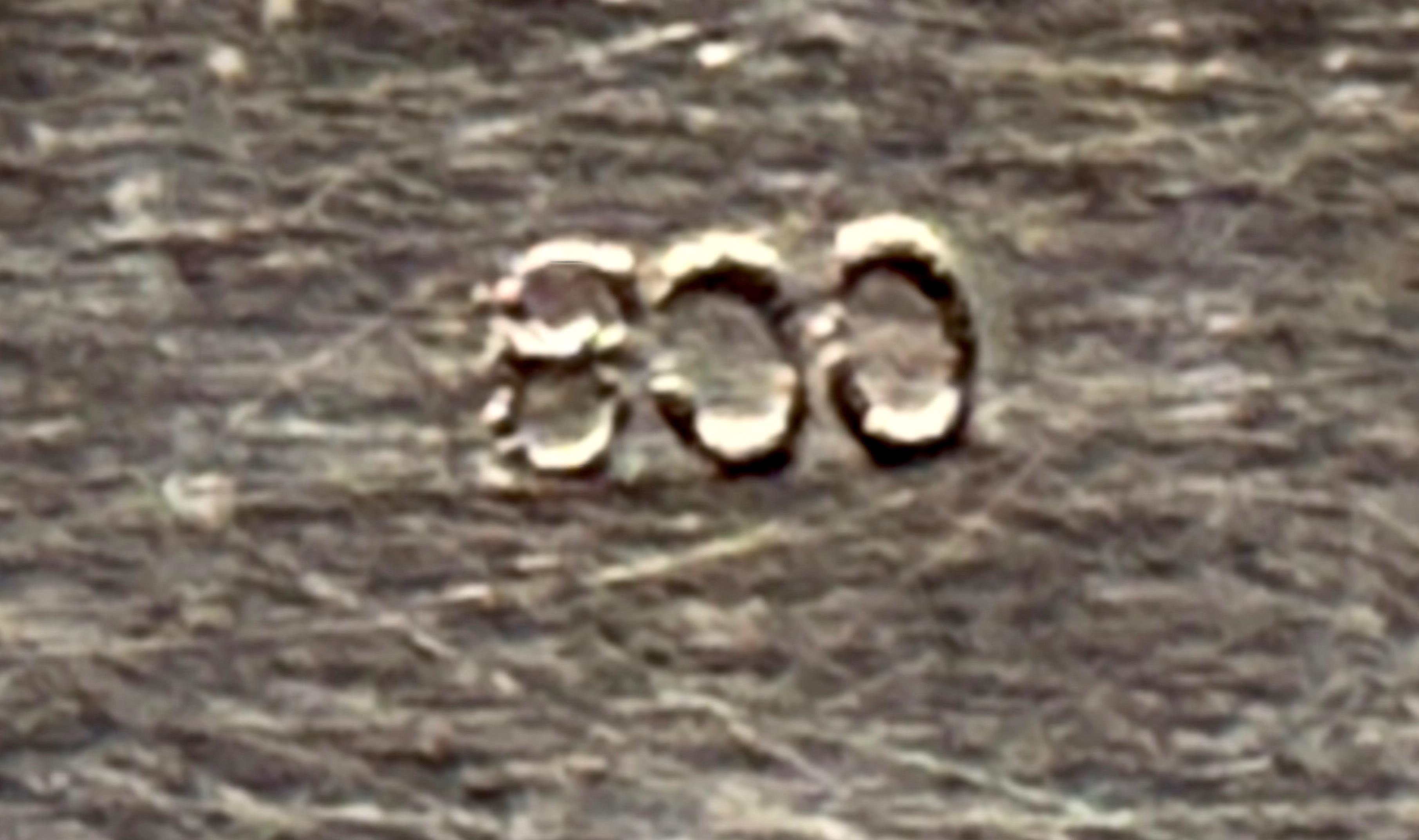 Srebrna szkatułka wielolistna zdobiona na wieku kaboszonem w kartuszu, masa 203 g