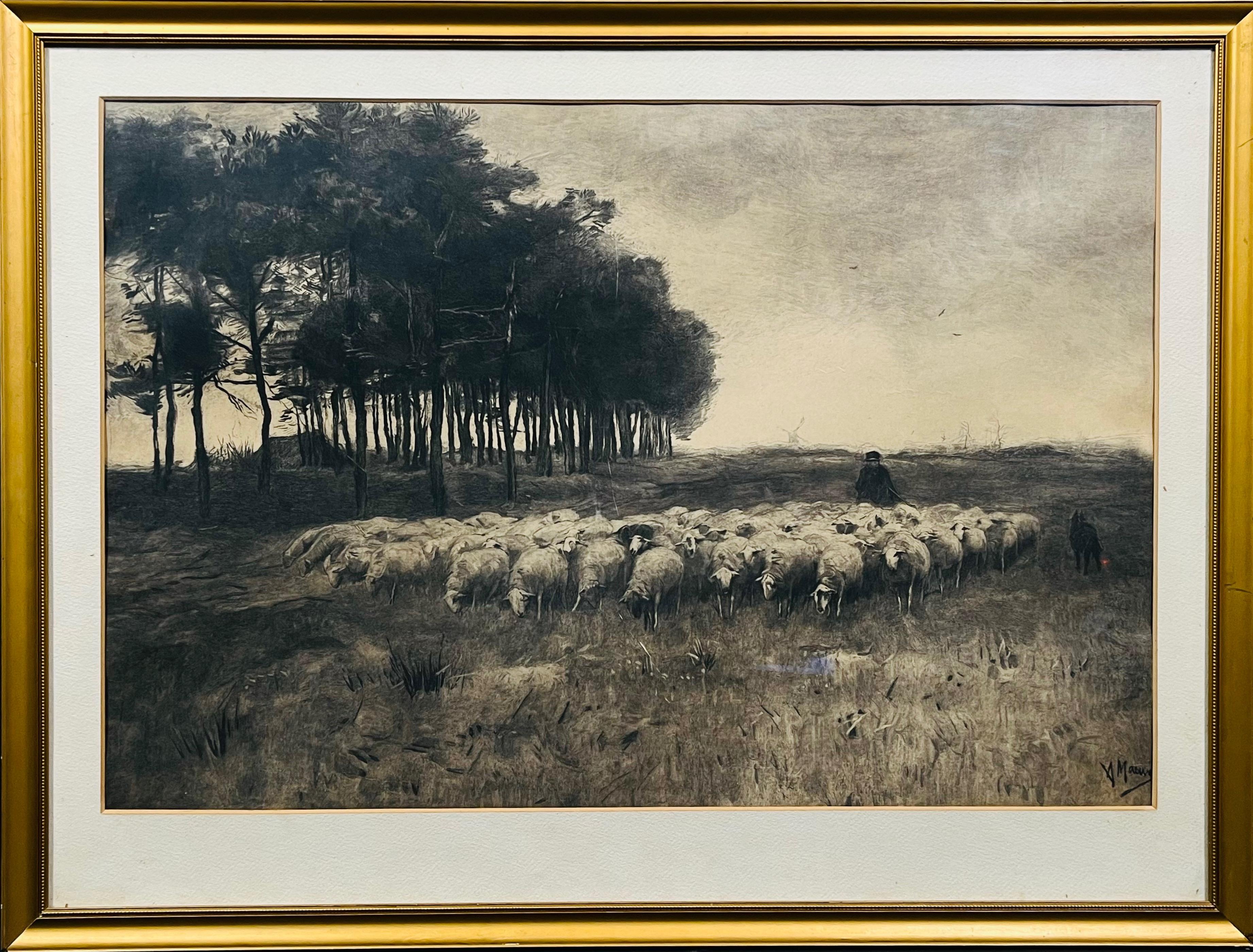 Anton Mauve ? , Wypas owiec