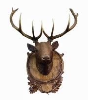 Dekoracyjna głowa jelenia z oruginalnym porożem