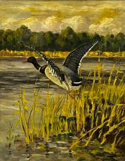 Nieustalony malarz,''Odlatująca kaczka''