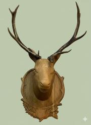 Dekoracyjne poroże jelenia