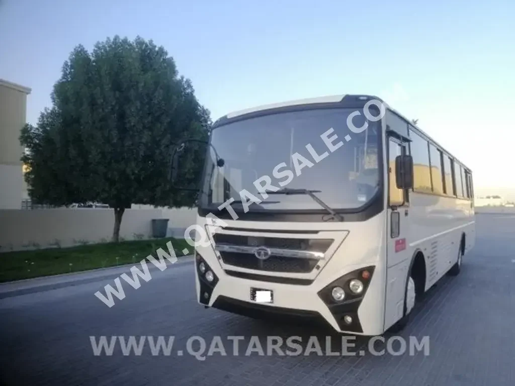 تاتا  باص  باص  أبيض  2021