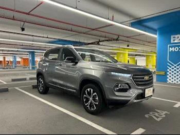 Chevrolet  Groove  SUV 4x4  Grey  2023