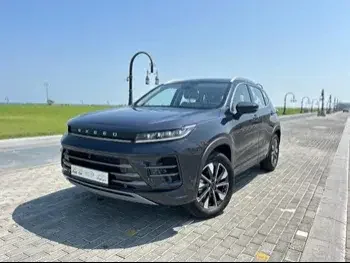 Exeed  LX  SUV 4x4  Grey  2024