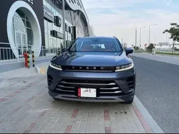 Exeed  LX  SUV 4x4  Grey  2023