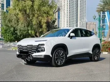 جيتور  داشينغ  فلاغ شيب  2024  اوتوماتيك  0 كم  4 سلندر  سحب امامي  اس يو في  أبيض  تحت الضمان