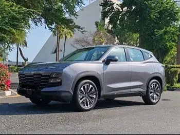 جيتور  داشينغ  2024  اوتوماتيك  0 كم  4 سلندر  سحب امامي  اس يو في  رمادي  تحت الضمان