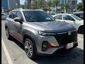 شانجن  سي اس 35 بلس  اس يو في ( أي دبليو دي )  رصاصي  2024