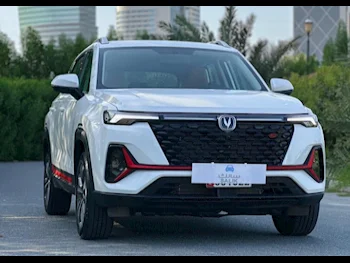 Changan  CS 95  4 Cylinder  2x4  White  2024