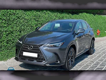 Lexus  IS 350  4 Cylinder  Lexury  Grey  2022
