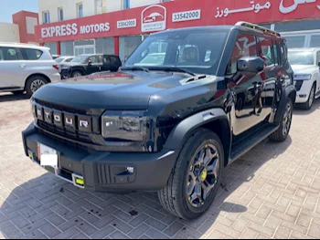 جيتور  تي 2  2025  اوتوماتيك  0 كم  4 سلندر  دفع رباعي  اس يو في  أسود  تحت الضمان