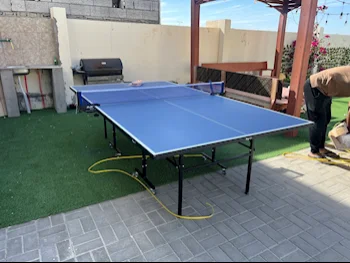 Blue  Tennis (ping pong)
