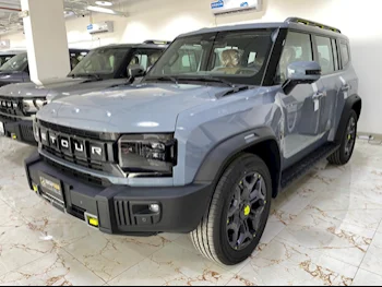 جيتور  تي 2  2025  اوتوماتيك  0 كم  4 سلندر  دفع رباعي  اس يو في  أزرق مطفي  تحت الضمان