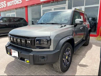 جيتور  تي 2  2025  اوتوماتيك  0 كم  4 سلندر  دفع رباعي  اس يو في  أسود  تحت الضمان