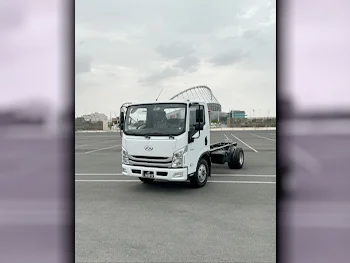 Maxus  C 300  2022  Manual  30 Km  4 Cylinder  Rear Wheel Drive (RWD)  Pick Up  White  With Warranty