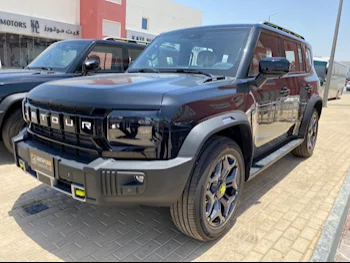 جيتور  تي 2  2025  اوتوماتيك  0 كم  4 سلندر  دفع رباعي  اس يو في  أسود  تحت الضمان