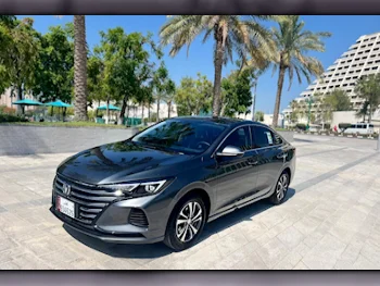 Changan  EADO  Sedan  Grey  2024