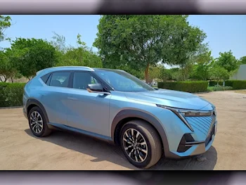 جاك  ايمكو  4 سلندر  إس يو في 2 في 4  اخضر فاتح  2024