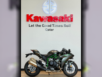 Kawasaki  H2 CARBON -  2024 - Color Black -  Warranty