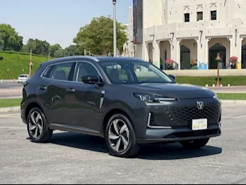 شانجن  يوني - اس  إس يو في 4 في 4  رصاصي  2025