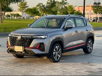 شانجن  سي اس 35 بلس  إس يو في 4 في 4  رمادي  2025