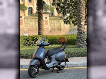Vespa  GTS SUPERSPORT 300 -  2024 - Color Gray -  Warranty