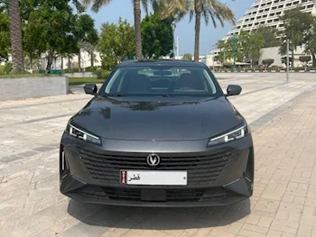 شانجن  ايدو  سيدان  رمادي  2024