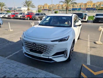 شانجن  يوني - كي  إس يو في 4 في 4  أبيض  2024