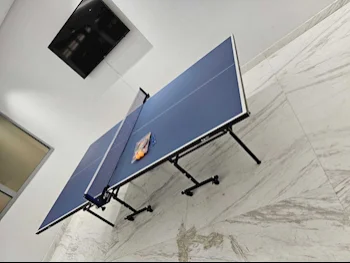 Blue & Beige  Tennis (ping pong) Table