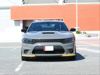 Dodge  Charger  6 Cylinder  Sport  Grey  2023