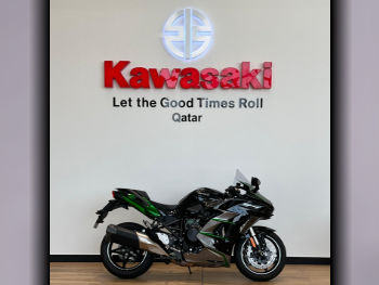 Kawasaki  H2 SX SE -  2024 - Color Green