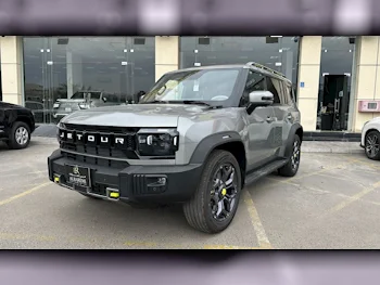  جيتور  تي 2  2025  اوتوماتيك  0 كم  4 سلندر  دفع رباعي  اس يو في  رمادي  تحت الضمان