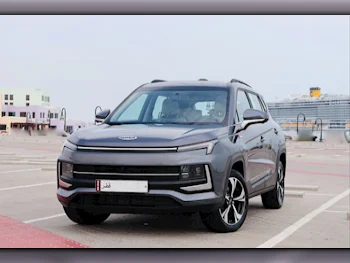 جاك  جي اس 4 - انتلجنت  4 سلندر  إس يو في 2 في 4  رمادي  2024