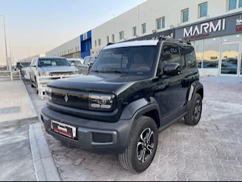 Wuling  Mini EV  2023  Automatic  8,000 Km  0 Cylinder  Front Wheel Drive (FWD)  SUV  Black